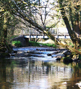 River Gwilli